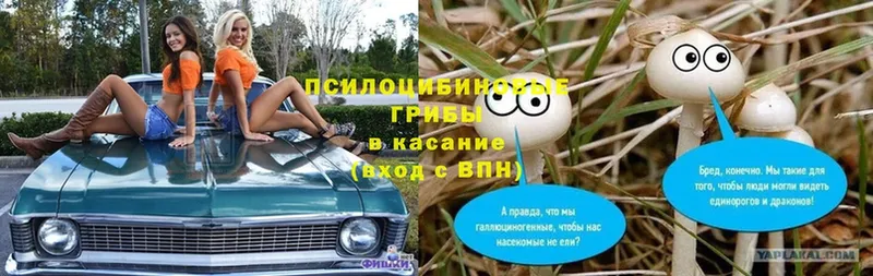 как найти закладки  OMG сайт  Галлюциногенные грибы Cubensis  Аша 